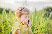 Urheber: galitskaya  / Lizenzgeber: Adobe Stock