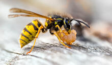 Urheber: Rod Hill Photography / Lizenzgeber: Adobe Stock