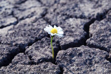 Urheber: Nadya So / Lizenzgeber: adobe stock