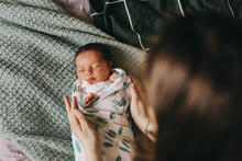 Urheber: annaperevozkina / Lizenzgeber: Adobe Stock