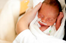 Urheber: Tobilander / Lizenzgeber: Adobe Stock