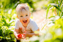 Urheber: Martinan / Lizenzgeber: Adobe Stock