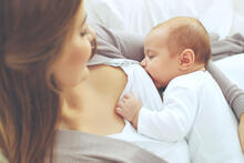 Urheber: nuzza11 / Lizenzgeber: Adobe Stock