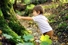Urheber: Tetiana Soares / Lizenzgeber: Adobe Stock