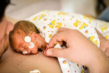 Urheber: Tobilander / Lizenzgeber: Adobe Stock