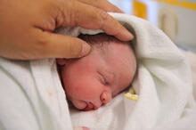 Urheber: GordonGrand / Lizenzgeber: Adobe Stock