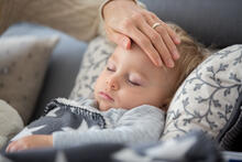 Urheber: Tomsickova / Lizenzgeber: Adobe Stock