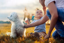 Urheber: ivanko80 / Lizenzgeber: Adobe Stock