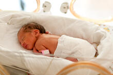 Urheber: Tobilander / Lizenzgeber: Adobe Stock
