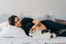 Urheber: Ilona / Lizenzgeber: Adobe Stock