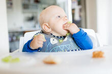 Urheber: blas / Lizenzgeber: Adobe Stock