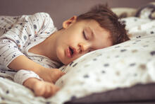 Urheber: Dragana Gordic / Lizenzgeber: Adobe Stock