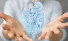 Urheber: sdecoret / Lizenzgeber: adobe stock