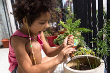 Urheber: ideasRojas / Lizenzgeber: Adobe Stock