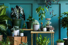 Urheber: FollowTheFlow / Lizenzgeber: Adobe Stock