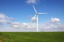 Urheber: Fox_Dsign / Lizenzgeber: Adobe Stock