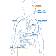 Urheber: BIG direkt gesund / Lizenzgeber: BIG direkt gesund