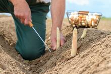 Urheber: juefraphoto / Lizenzgeber: Adobe Stock