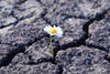 Die Superkraft unserer Psyche: Resilienz