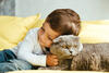 Kleinkind kuschelt mit Katze auf der Couch