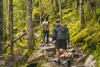 Wandern: Junges Pärchen wandert im Wald