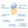Pflegeleistungen_ Erträge und Aufwände