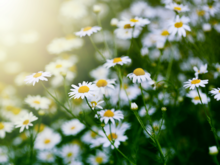 Urheber: rudchenko / Lizenzgeber: gettyimages