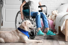 Urheber: Africa Studio / Lizenzgeber: Adobe Stock