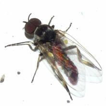 Urheber: BIG / Lizenzgeber: BIG